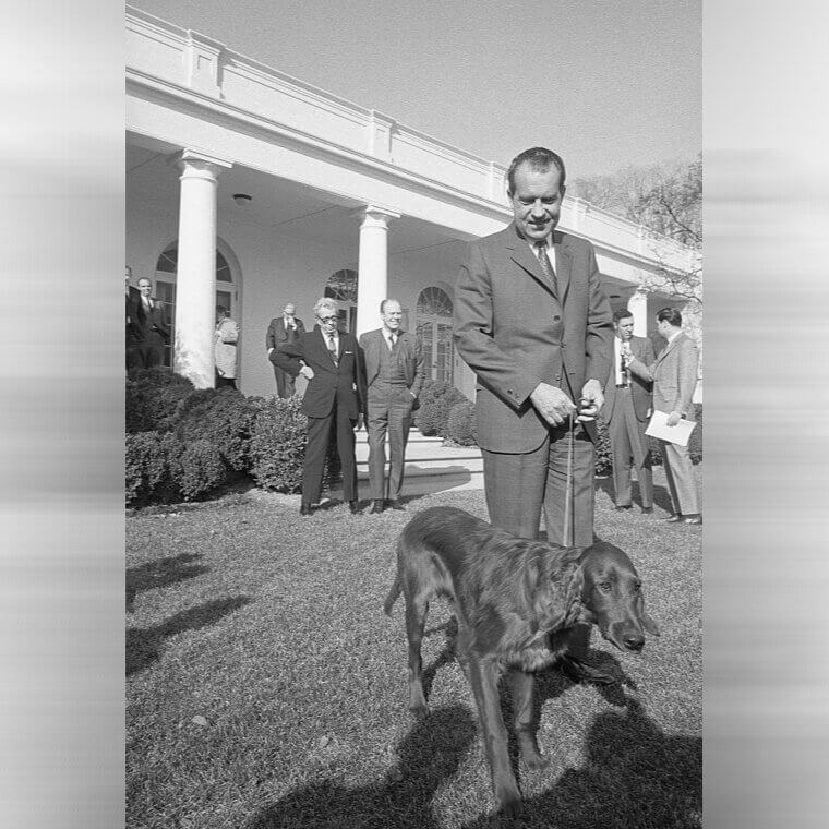 Richard M. Nixon - Setter, Terrier and Poodle