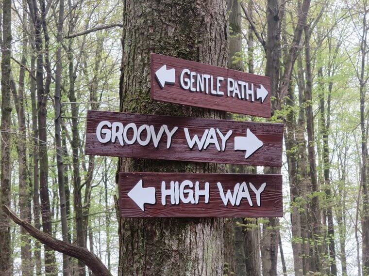 The Excavation Ends With Answers