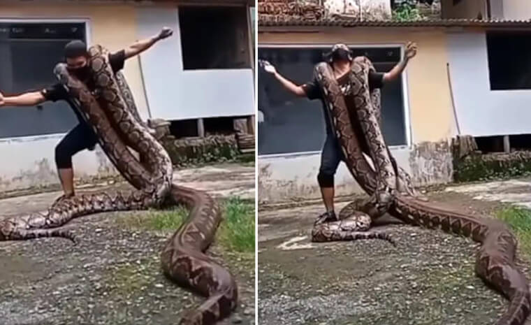 Dad Bit "snake-Possessed" Son Until He Passed Away