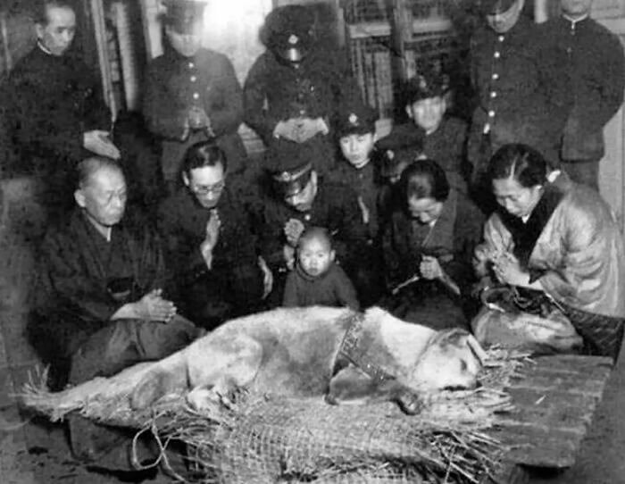 Memorial for Hachiko the Dog, a National Hero