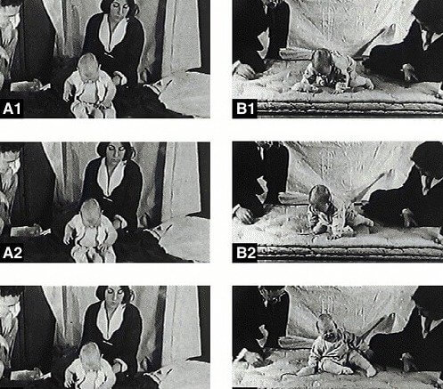 The "Little Albert" Experiment Gave This Baby a Life-Long Phobia