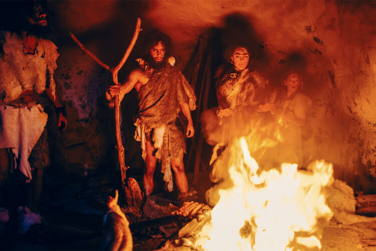 How Do You Like Your Steak Cooked?