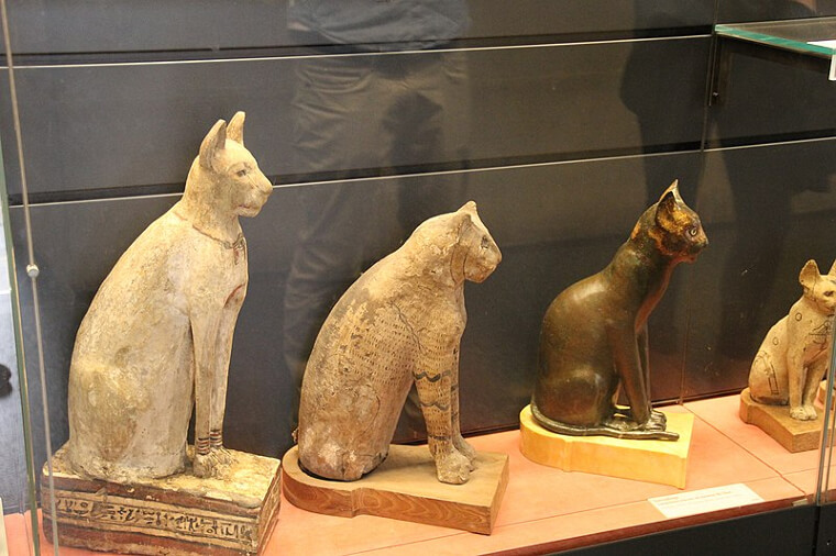 Cats Were Thought To Be Magical