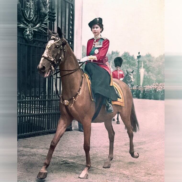 She Took Many Steps to Further Her Education