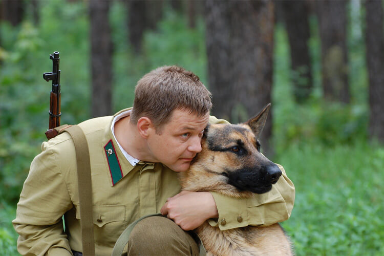 One Dog Saved The Lives Of A WWII Army Unit
