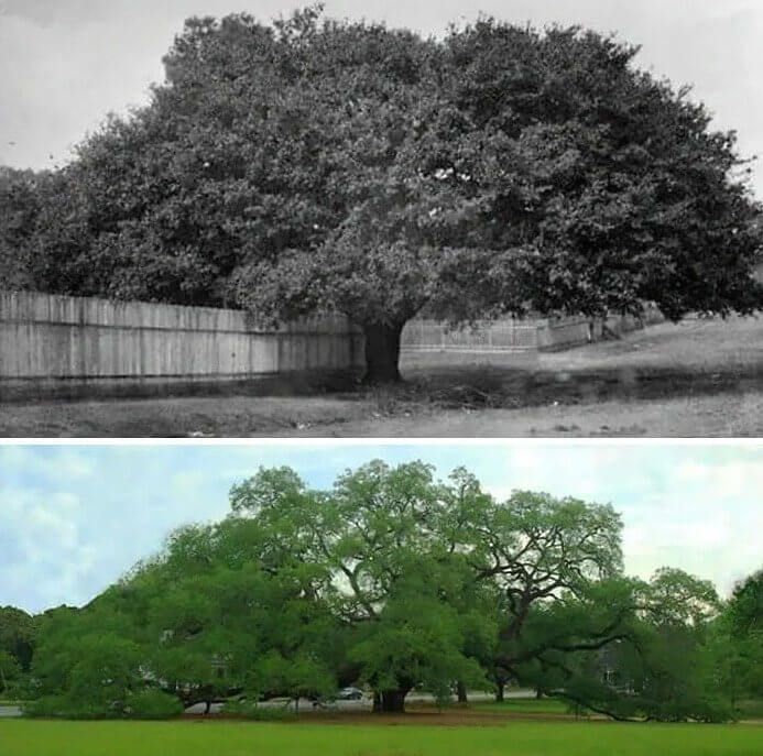 Thomasville, Georgia - 1895 & 2020