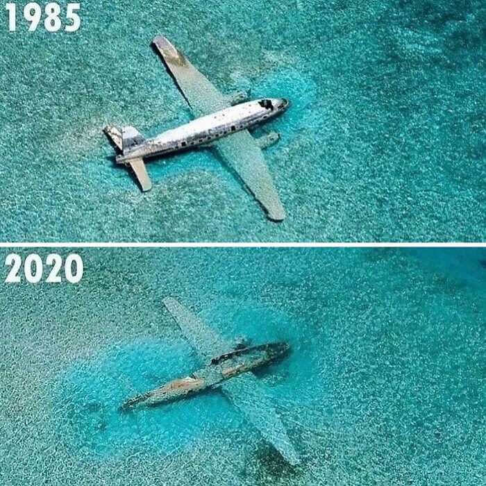 Pablo Escobar's Plane - 1985 & 2020