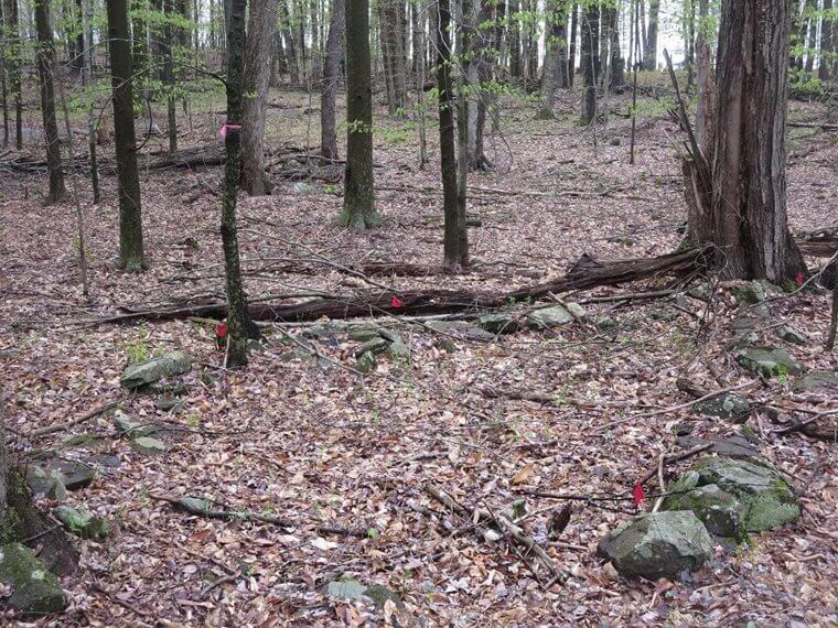 The Original Area For Booths Changed