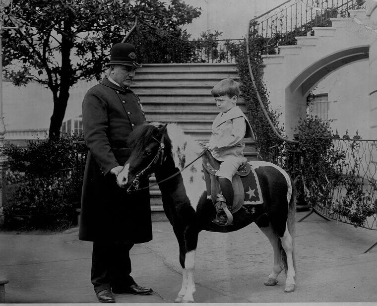 Theodore Roosevelt - Zoo Animals