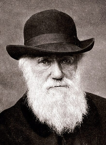 Charles Darwin Consumed All Kinds of Exotic Animals